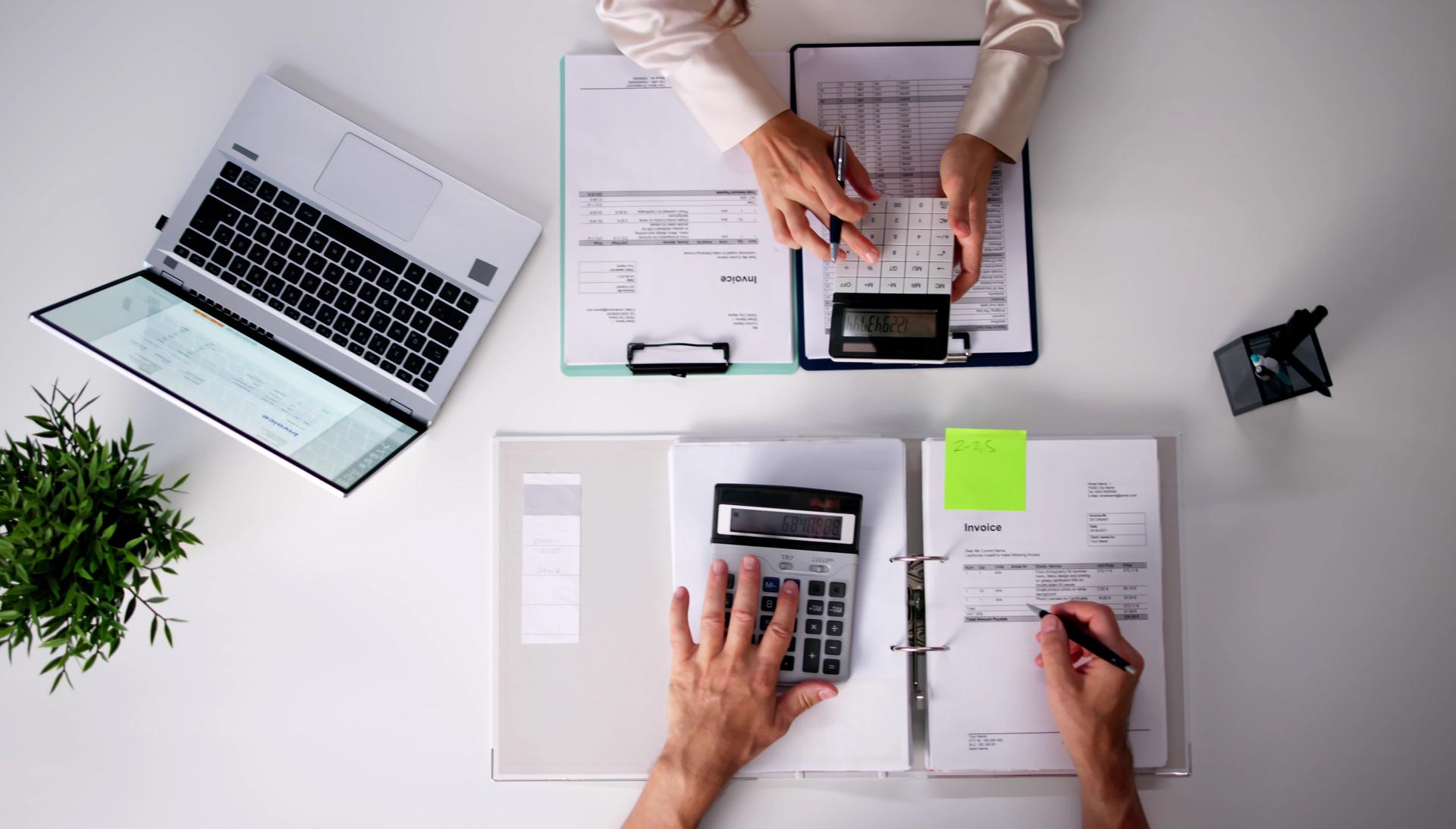 Professional Business Accountant Doing Financial Advisory